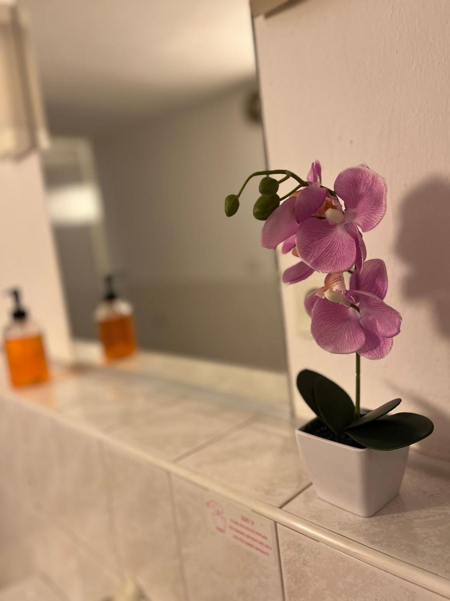 Apartmany Baroko Broumov Exteriér fotografie